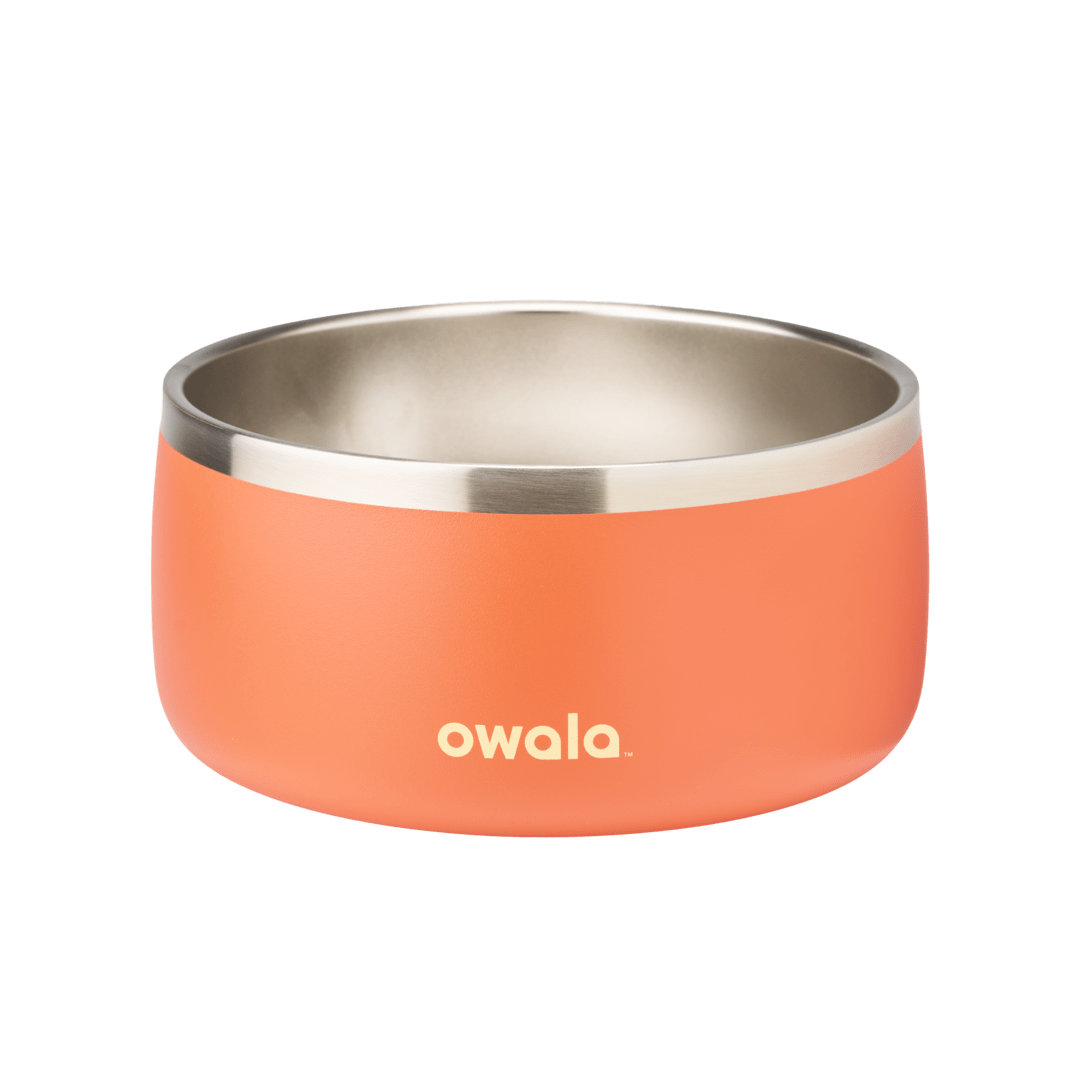 Pet Bowl N0